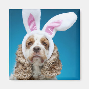 Portrait of dog wearing Easter bunny ears Magnet