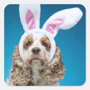 Portrait of dog wearing Easter bunny ears Square Sticker
