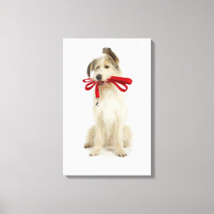 Portrait of Dog with Leash Canvas Print