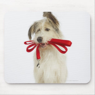 Portrait of Dog with Leash Mouse Mat