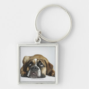 Portrait of Dorset Old Tyme Bulldog Key Ring