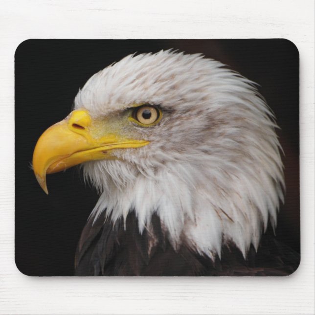 Portrait of eagle mouse mat (Front)