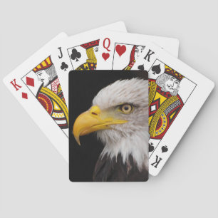 Portrait of eagle playing cards