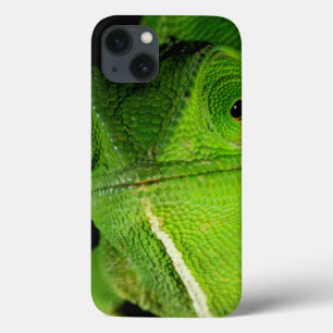 Portrait Of Flap-Necked Chameleon iPhone 13 Case