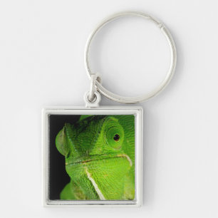 Portrait Of Flap-Necked Chameleon Key Ring