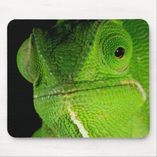 Portrait Of Flap-Necked Chameleon Mouse Mat