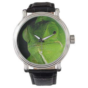 Portrait Of Flap-Necked Chameleon Watch