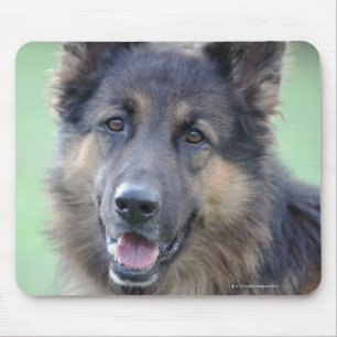 Portrait of German Sheppard Mouse Mat