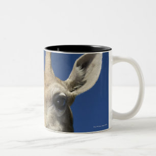 Portrait of Giraffe (Giraffa Camelopardalis) 2 Two-Tone Coffee Mug
