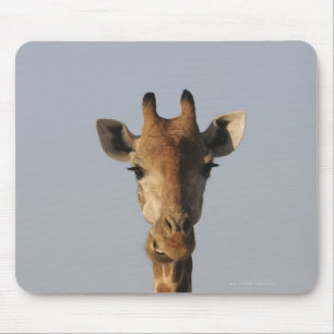 Portrait of Giraffe (Giraffa camelopardalis) Mouse Mat