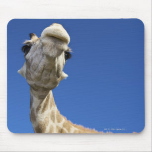 Portrait of Giraffe (Giraffa Camelopardalis) Mouse Mat