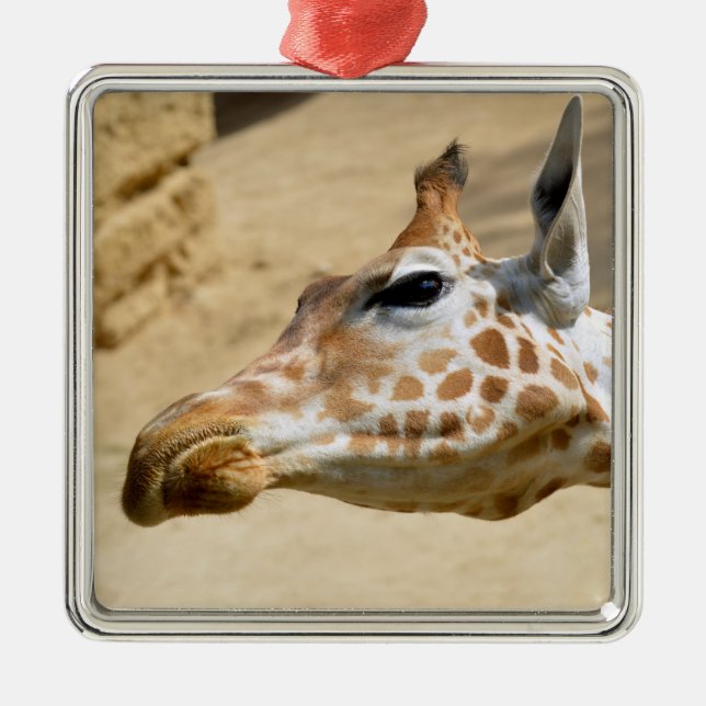 Portrait of giraffe metal tree decoration (Front)