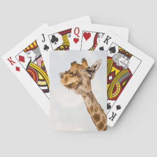 Portrait of Giraffe Playing Cards