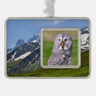 Portrait of great grey owl postcard square sticker silver plated framed ornament