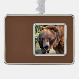 Portrait of Grizzly bear Postcard Square Sticker T Silver Plated Framed Ornament