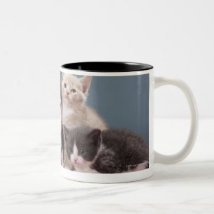 Portrait of group of kittens Two-Tone coffee mug