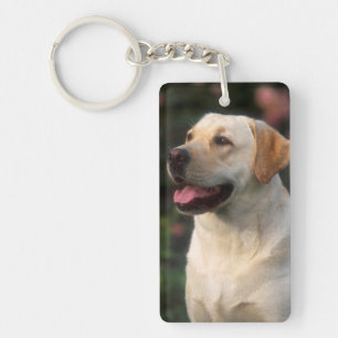 Portrait Of Labrador Retriever, Hilton Key Ring