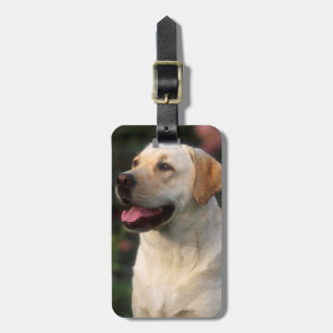 Portrait Of Labrador Retriever, Hilton Luggage Tag