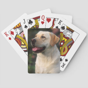 Portrait Of Labrador Retriever, Hilton Playing Cards
