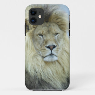 Portrait of lion iPhone 11 case