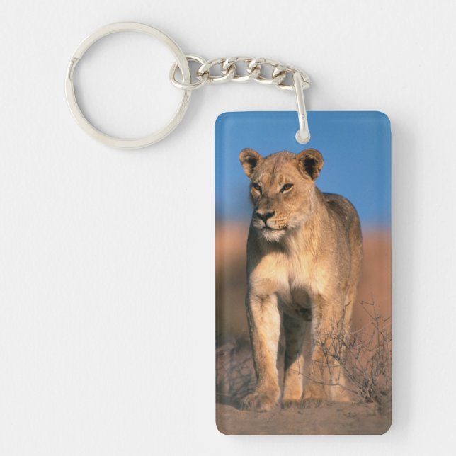 Portrait Of Lioness (Panthera Leo) Key Ring (Front)