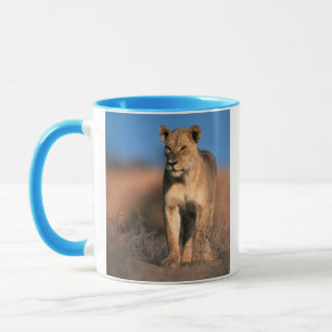 Portrait Of Lioness (Panthera Leo) Mug