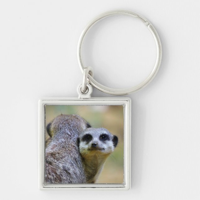 Portrait of meerkats or suricates   key ring (Front)