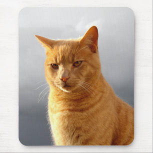 Portrait of Merlin the cat Mouse Mat