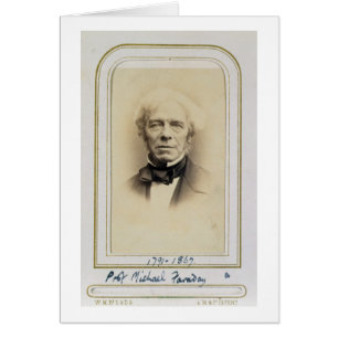 Portrait of Michael Faraday (1791-1867) (albumen p