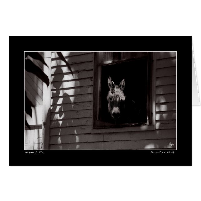 Portrait of Molly (Front Horizontal)