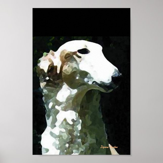 Portrait of Molly Poster (Front)