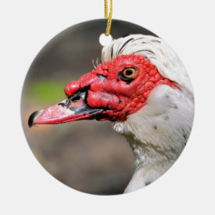 Portrait of muscovy duck ceramic tree decoration