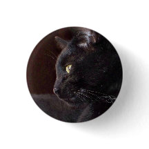 Portrait of My Boy, Charlie Button