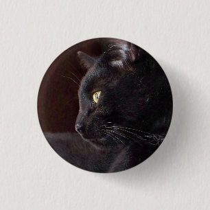 Portrait of My Boy, Charlie Button