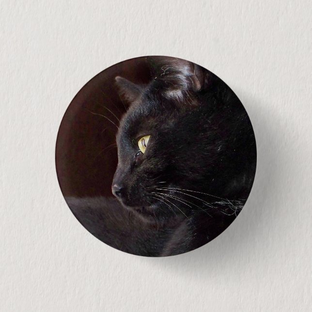 Portrait of My Boy, Charlie Button (Front)