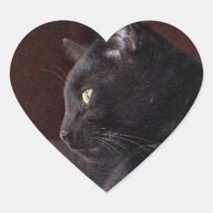 Portrait of My Boy, Charlie Heart Sticker