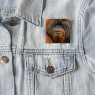 Portrait of Orang-utang Male, Georgia, USA 15 Cm Square Badge