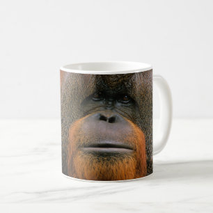 Portrait of Orang-utang Male, Georgia, USA Coffee Mug
