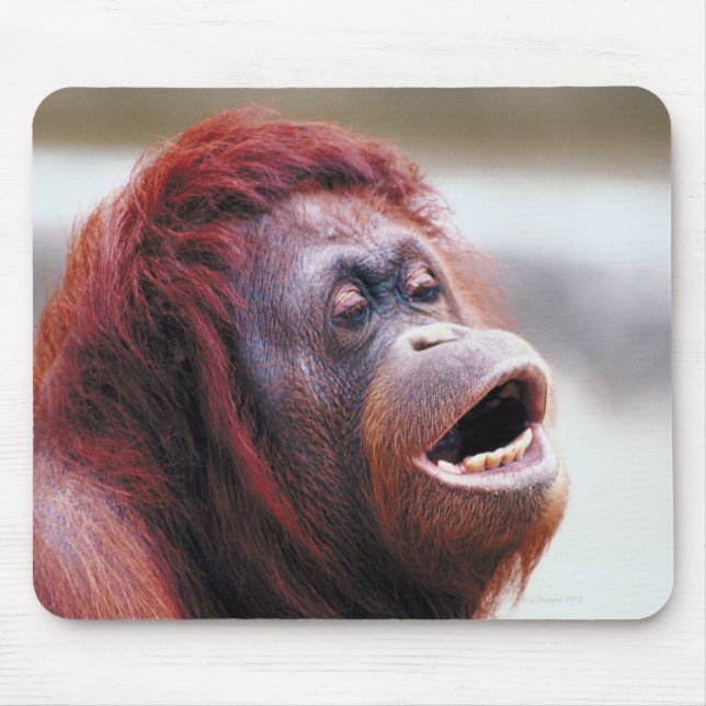 Portrait of orangutan mouse mat (Front)