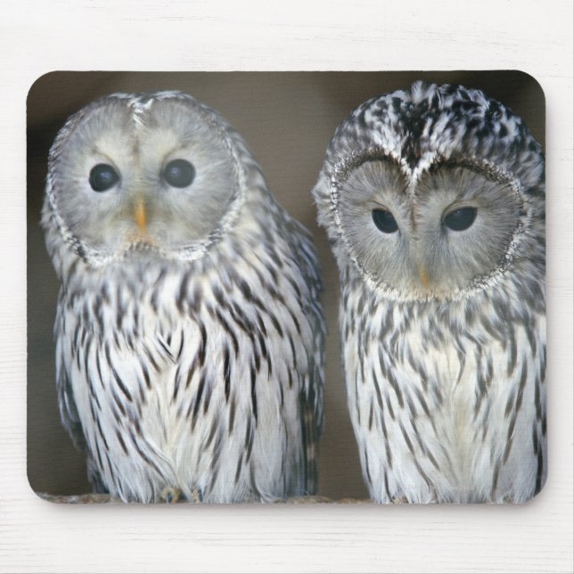Portrait of owls mouse mat (Front)