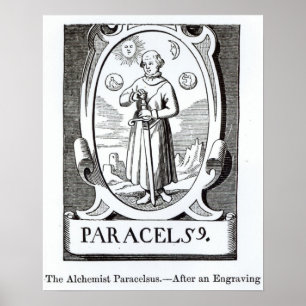 Portrait of Paracelsus Poster