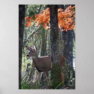 "Portrait of Peace" Poster