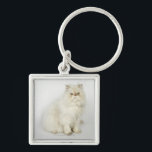 Portrait of Persian cat Key Ring<br><div class="desc">Portrait of Persian cat | Brand New Images | AssetID: 107072670</div>