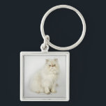 Portrait of Persian cat Key Ring<br><div class="desc">Portrait of Persian cat | Brand New Images | AssetID: 107072670</div>