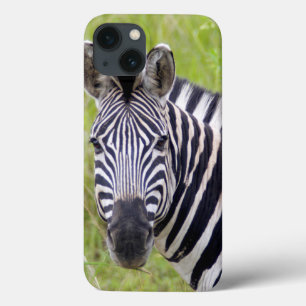 Portrait Of Plains Zebra, Hluhluwe-Umfolozi Game iPhone 13 Case