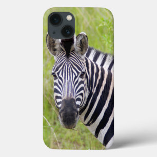 Portrait Of Plains Zebra, Hluhluwe-Umfolozi Game iPhone 13 Case