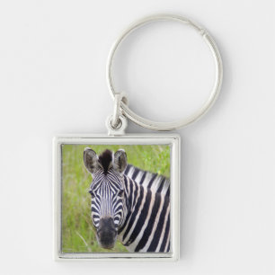Portrait Of Plains Zebra, Hluhluwe-Umfolozi Game Key Ring
