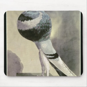 Portrait of Pouter Pigeon Mouse Mat