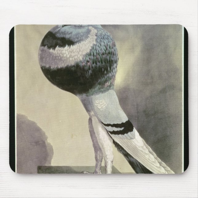 Portrait of Pouter Pigeon Mouse Mat (Front)