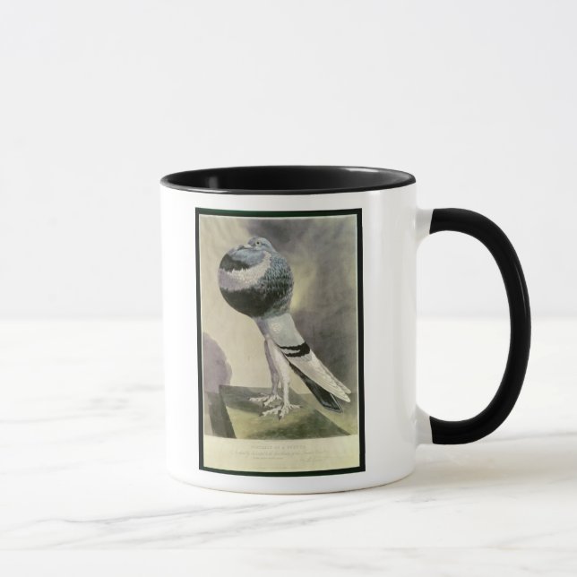 Portrait of Pouter Pigeon Mug (Right)